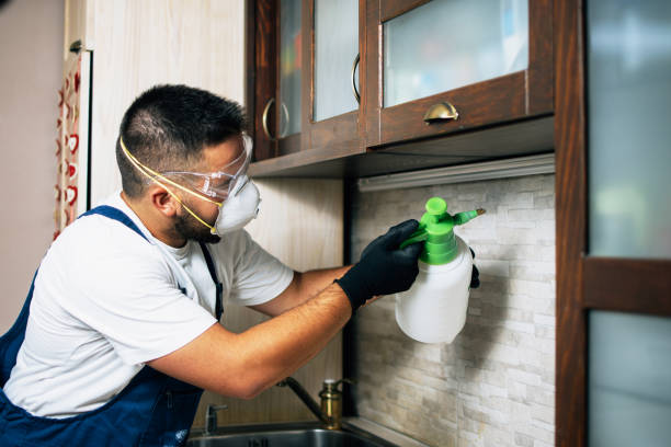 Best Affordable Pest Control Services  in Towaoc, CO