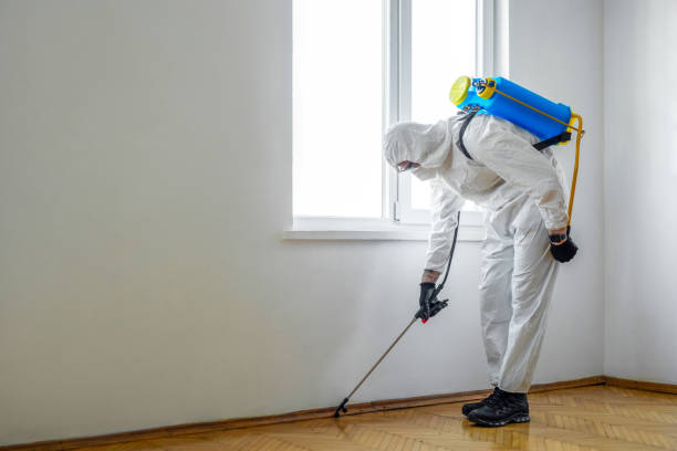 Wasp Removal Services in Towaoc, CO