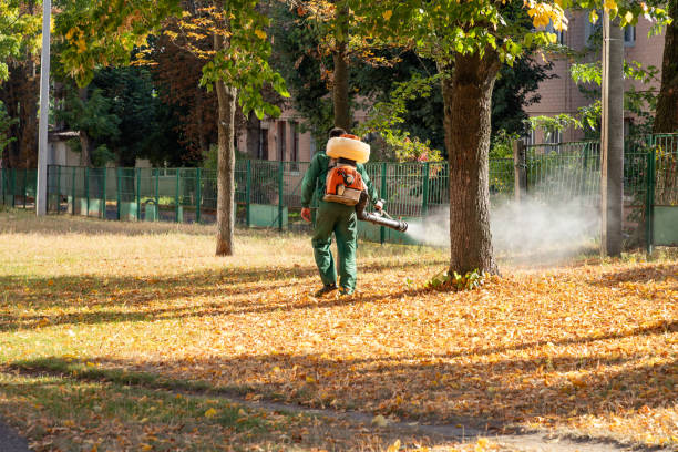 Best Affordable Pest Control Services  in Towaoc, CO