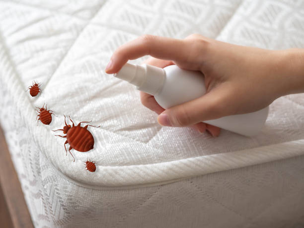 Best Best Pest Control Near Me  in Towaoc, CO