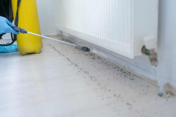 Best Best Pest Control Companies  in Towaoc, CO