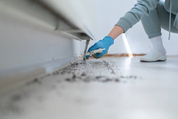 Best Pest Removal Services  in Towaoc, CO