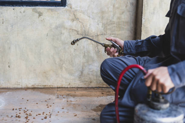 Trusted Towaoc, CO Pest Control Experts